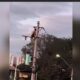 O Dia em que um Poste Virou Alerta O Caso do Homem que Desafiou a Eletricidade e Sobreviveu para Contar