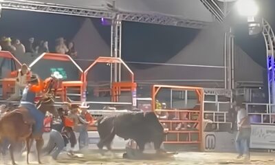 O Drama na Arena Pe o de 20 Anos Sobrevive a Pisoteamento Brutal em Rodeio de SP O Que Podemos Aprender com Isso