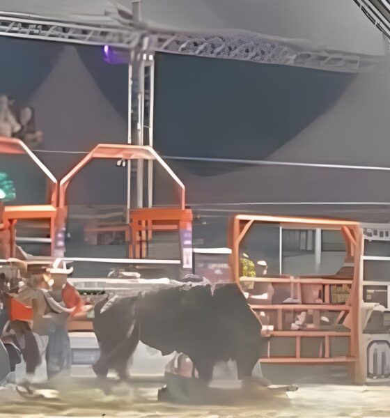 O Drama na Arena: Peão de 20 Anos Sobrevive a Pisoteamento Brutal em Rodeio de SP – O Que Podemos Aprender com Isso? 13 O Drama na Arena Pe o de 20 Anos Sobrevive a Pisoteamento Brutal em Rodeio de SP O Que Podemos Aprender com Isso