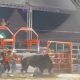 O Drama na Arena Pe o de 20 Anos Sobrevive a Pisoteamento Brutal em Rodeio de SP O Que Podemos Aprender com Isso