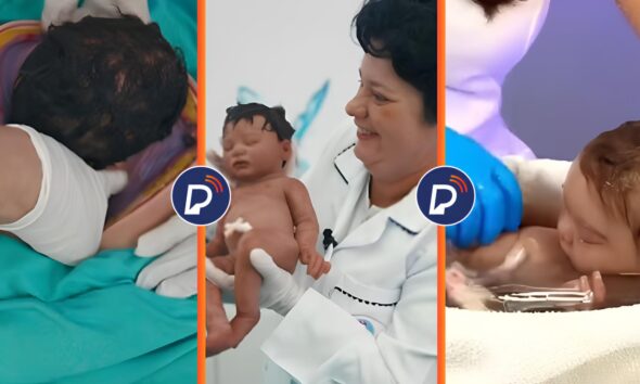 O Fen meno das Bonecas Reborn Quando a Arte Encontra a Maternidade em um Shopping de Campinas