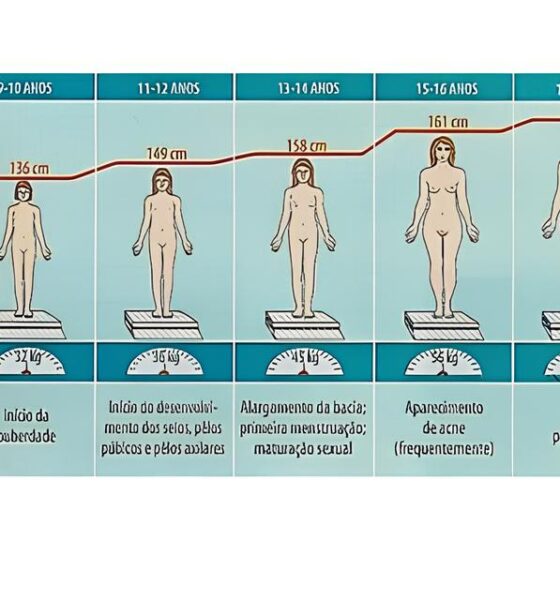 O Futuro da Carreira em Desenvolvimento Analítico: Como o LinkedIn Está Redefinindo a Busca por Talentos no Brasil 14 O Futuro da Carreira em Desenvolvimento Anal tico Como o LinkedIn Est Redefinindo a Busca por Talentos no Brasil