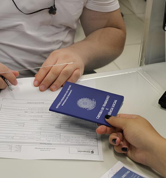 O Futuro do Trabalho no Brasil Carteira Assinada em Alta e Informalidade em Decl nio O Que Est Por Tr s dos N meros
