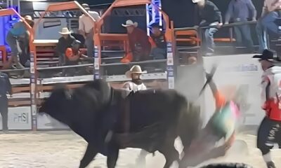 O Grito na Arena Quando o Sonho Virou Pesadelo em 2 Minutos