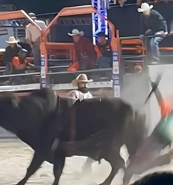 O Grito na Arena: Quando o Sonho Virou Pesadelo em 2 Minutos 13 O Grito na Arena Quando o Sonho Virou Pesadelo em 2 Minutos