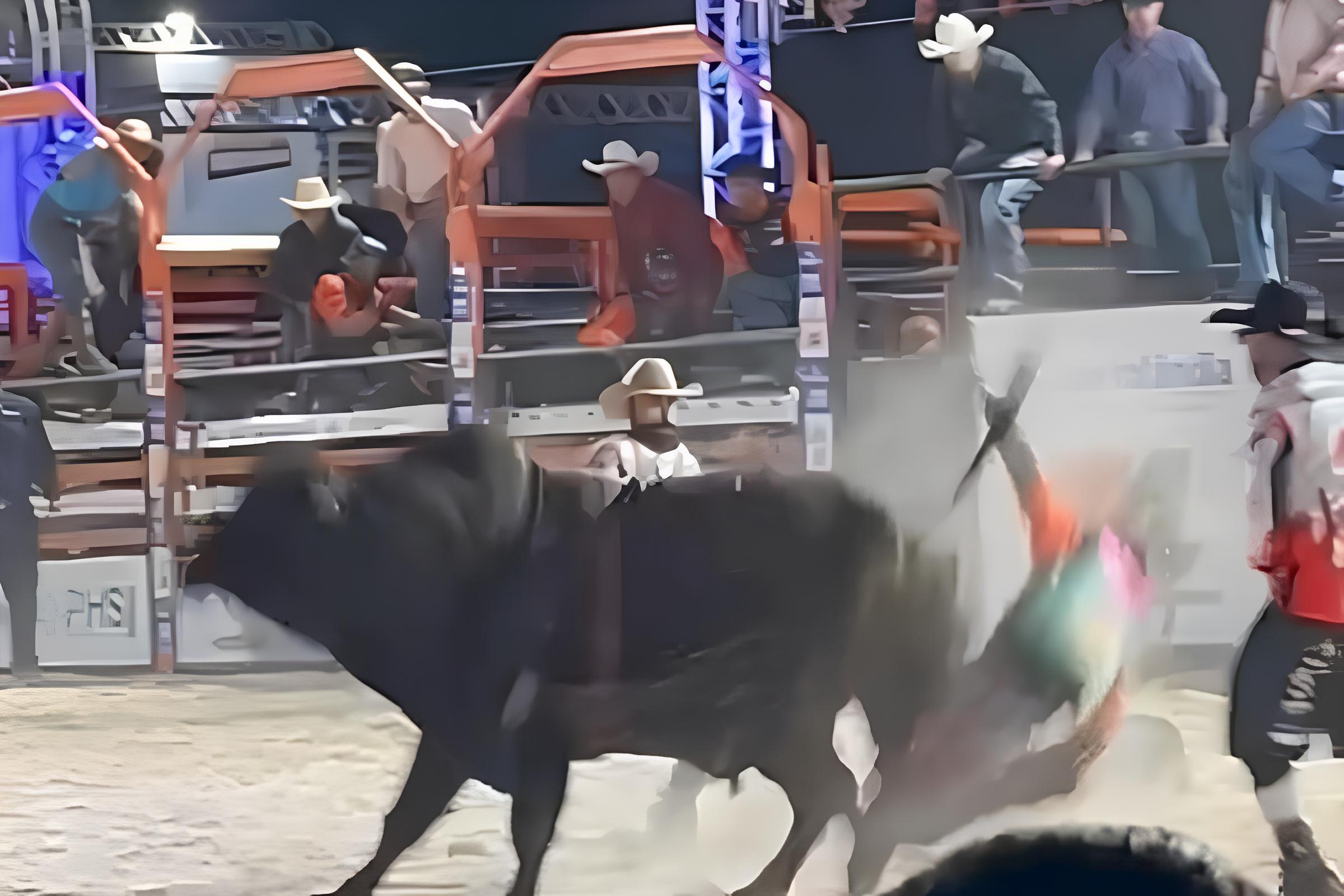 O Grito na Arena: Quando o Sonho Virou Pesadelo em 2 Minutos 12 O Grito na Arena Quando o Sonho Virou Pesadelo em 2 Minutos