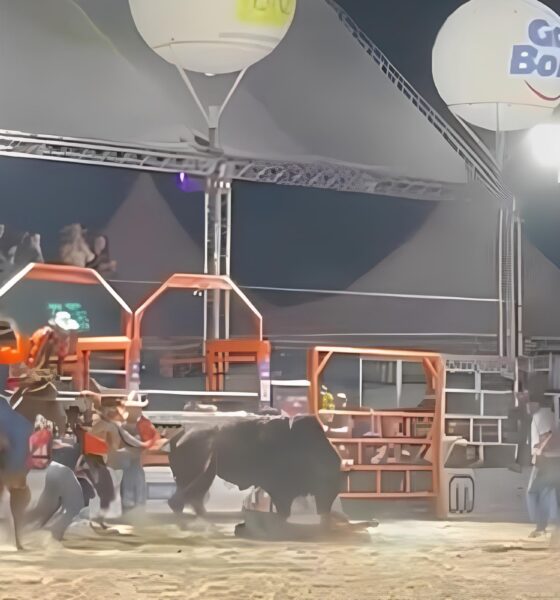 O Incidente que Paralisou Hortolândia: Um Relato Inquietante do Perigo nos Rodeios Brasileiros 13 O Incidente que Paralisou Hortol ndia Um Relato Inquietante do Perigo nos Rodeios Brasileiros
