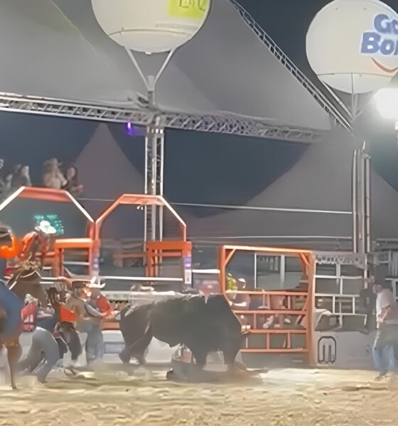 O Momento em que o Rodeio Virou Pesadelo: A História do Peão Arrastado por um Touro em Hortolândia 13 O Momento em que o Rodeio Virou Pesadelo A Hist ria do Pe o Arrastado por um Touro em Hortol ndia