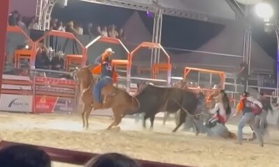 O Momento que Paralisou o Rodeio Pe o Arrastado por Touro em Hortol ndia Revela Drama Resili ncia e Reflex es Sobre Esportes de Risco