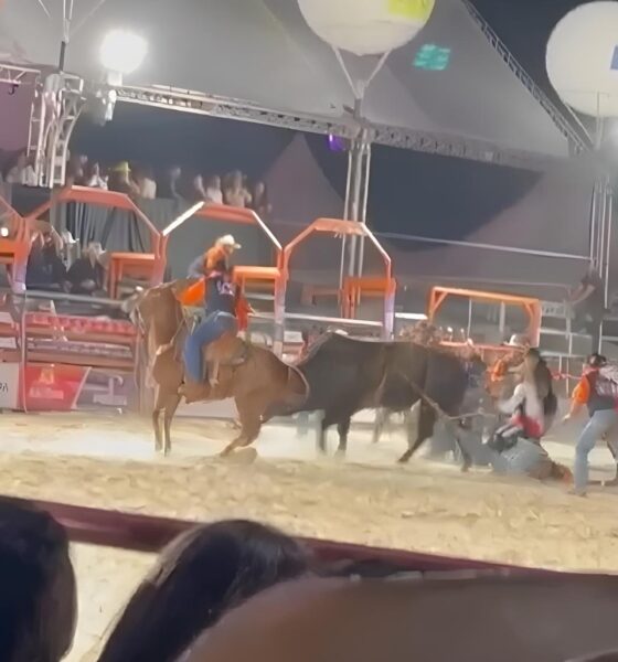 O Momento que Paralisou o Rodeio: Peão Arrastado por Touro em Hortolândia Revela Drama, Resiliência e Reflexões Sobre Esportes de Risco 13 O Momento que Paralisou o Rodeio Pe o Arrastado por Touro em Hortol ndia Revela Drama Resili ncia e Reflex es Sobre Esportes de Risco