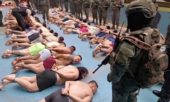 Opera o Baiuca Como um Grupo de Hortol ndia Virou Alvo de uma das Maiores Investiga es Contra Roubos de Cargas no Brasil