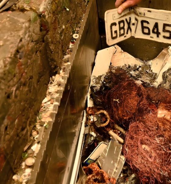 Operação Relâmpago na RMC: O Dia em que 500kg de Cobre Contaram Histórias Proibidas 13 Opera o Rel mpago na RMC O Dia em que 500kg de Cobre Contaram Hist rias Proibidas