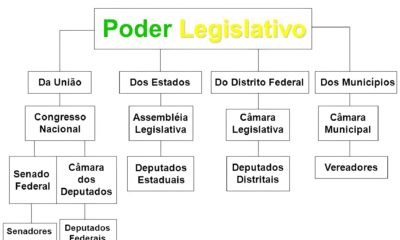 Os Bastidores dos Concursos Legislativos 2025 Como Conquistar Sua Vaga no Cora o da Democracia