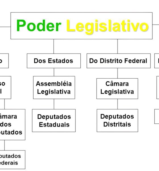 Os Bastidores dos Concursos Legislativos 2025: Como Conquistar Sua Vaga no Coração da Democracia 13 Os Bastidores dos Concursos Legislativos 2025 Como Conquistar Sua Vaga no Cora o da Democracia