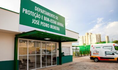 Paul nia D Mais Tempo Protetores e ONGs da Causa Animal Podem se Cadastrar at o Fim de Maio