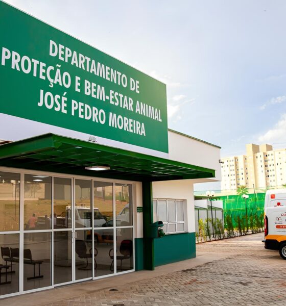 Paulínia Dá Mais Tempo: Protetores e ONGs da Causa Animal Podem se Cadastrar até o Fim de Maio 13 Paul nia D Mais Tempo Protetores e ONGs da Causa Animal Podem se Cadastrar at o Fim de Maio