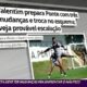 Ponte Preta Rumo aos Aflitos O Que Esperar do Confronto Decisivo Contra o N utico