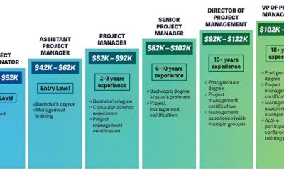 Por Que Esta Vaga de Gerente S nior de Projetos SAP na IBM Pode Ser a Oportunidade da Sua Vida