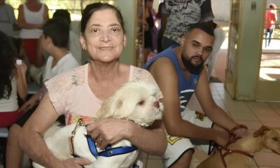 Por Que Hortol ndia Est Revolucionando o Bem Estar Animal com Mutir es de Castra o Gratuita