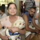Por Que Hortol ndia Est Revolucionando o Bem Estar Animal com Mutir es de Castra o Gratuita