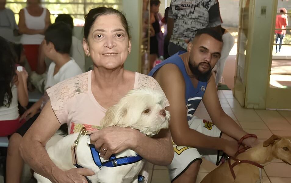 Por Que Hortol ndia Est Revolucionando o Bem Estar Animal com Mutir es de Castra o Gratuita