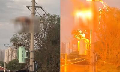Poste de Perigo O Caso do Homem em Chamas que Abalou Hortol ndia