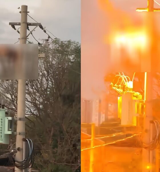 Poste de Perigo: O Caso do Homem em Chamas que Abalou Hortolândia 14 Poste de Perigo O Caso do Homem em Chamas que Abalou Hortol ndia