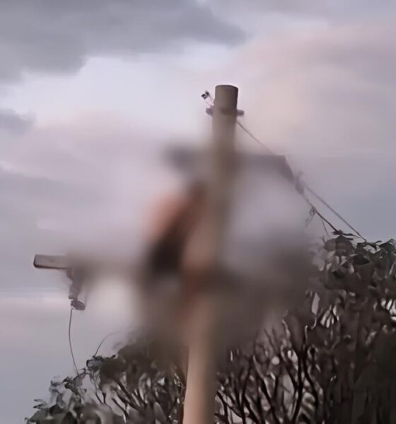 Quando a Energia Torna-se Fatal: A Trágica História de Um Homem, Um Poste e Três Descargas Elétricas 14 Quando a Energia Torna se Fatal A Tr gica Hist ria de Um Homem Um Poste e Tr s Descargas El tricas