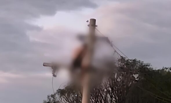 Quando a Energia Torna se Fatal A Tr gica Hist ria de Um Homem Um Poste e Tr s Descargas El tricas