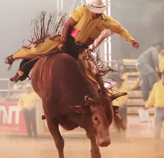 Quando o Arena se Torna um Campo de Batalha: O Dia em que um Peão Desafiou o Destino na Festa do Peão de Hortolândia 13 Quando o Arena se Torna um Campo de Batalha O Dia em que um Pe o Desafiou o Destino na Festa do Pe o de Hortol ndia