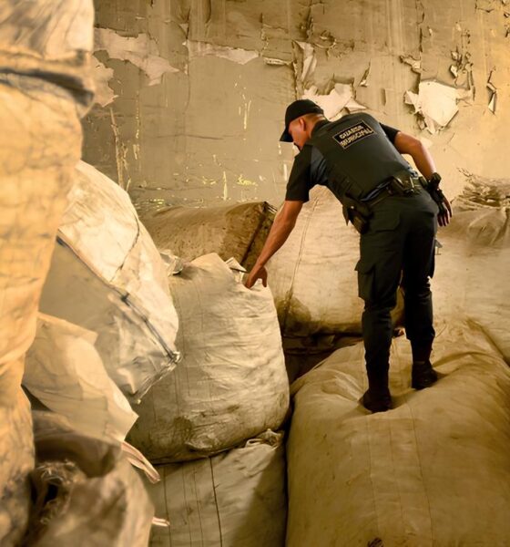 Quando o Cobre Vira Crime: A Operação que Desmontou um Esquema Milionário na Região 13 Quando o Cobre Vira Crime A Opera o que Desmontou um Esquema Milion rio na Regi o