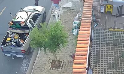 Quando o Cotidiano Vira Cena de A o O Dia em que um Jardineiro Desafiou a Morte