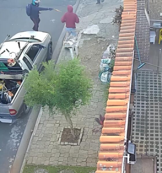 Quando o Cotidiano Vira Cena de Ação: O Dia em que um Jardineiro Desafiou a Morte 13 Quando o Cotidiano Vira Cena de A o O Dia em que um Jardineiro Desafiou a Morte