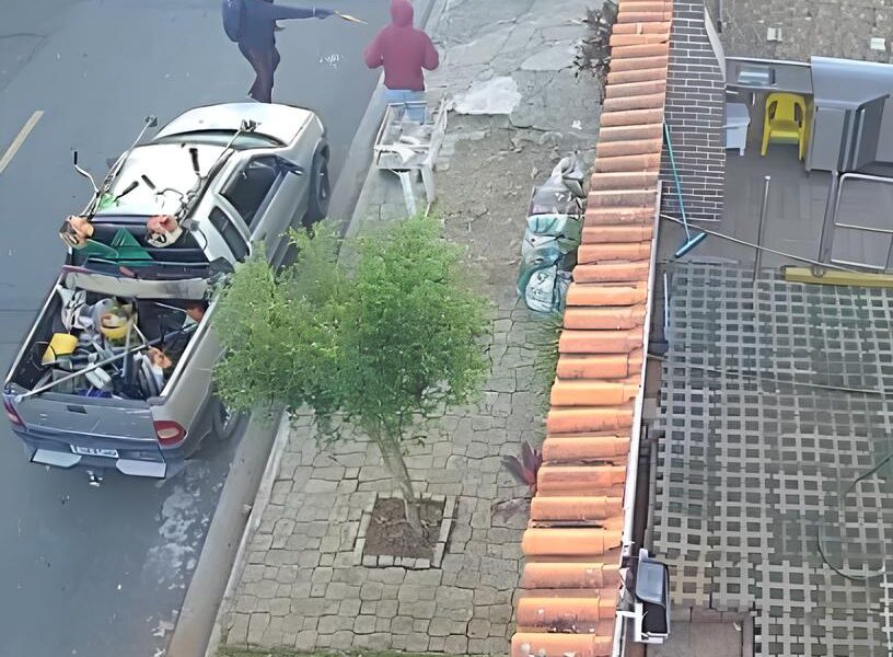 Quando o Cotidiano Vira Cena de A o O Dia em que um Jardineiro Desafiou a Morte