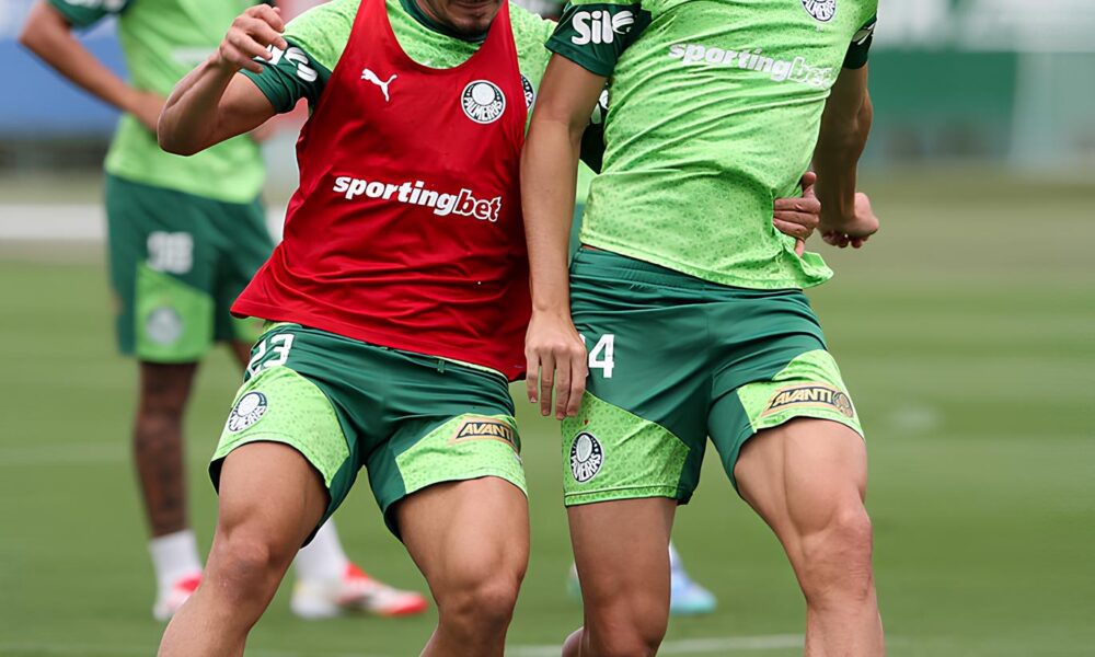 Quando o Invicto Encontra a Altitude Palmeiras e Bol var Colidem na Libertadores em Busca de Gl rias