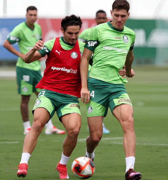 Quando o Invicto Encontra a Altitude Palmeiras e Bol var Colidem na Libertadores em Busca de Gl rias