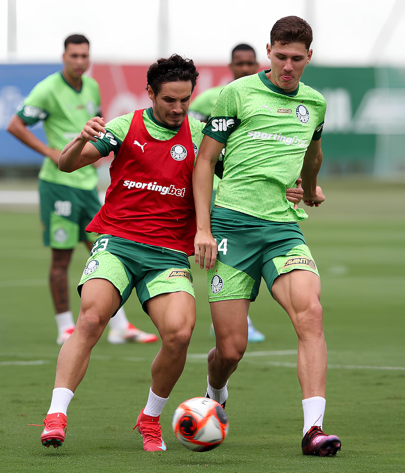 Quando o Invicto Encontra a Altitude Palmeiras e Bol var Colidem na Libertadores em Busca de Gl rias