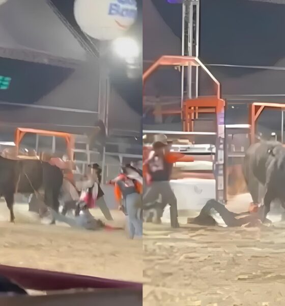 Quando o Rodeio Sai do Controle: A História de um Jovem Peão Arrastado por um Touro em Hortolândia 13 Quando o Rodeio Sai do Controle A Hist ria de um Jovem Pe o Arrastado por um Touro em Hortol ndia