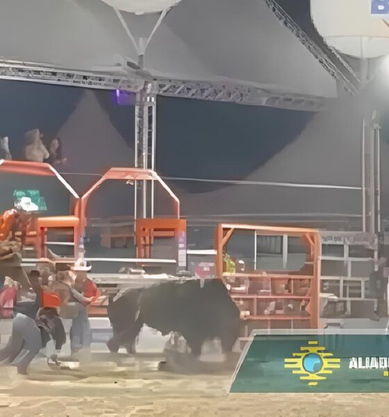 Quando o Rodeio Saiu do Controle: A História de Um Jovem Peão Arrastado Pelo Destino 13 Quando o Rodeio Saiu do Controle A Hist ria de Um Jovem Pe o Arrastado Pelo Destino