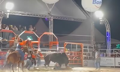 Quando o Rodeio Vira Espect culo O Caso do Pe o Pisoteado em Hortol ndia