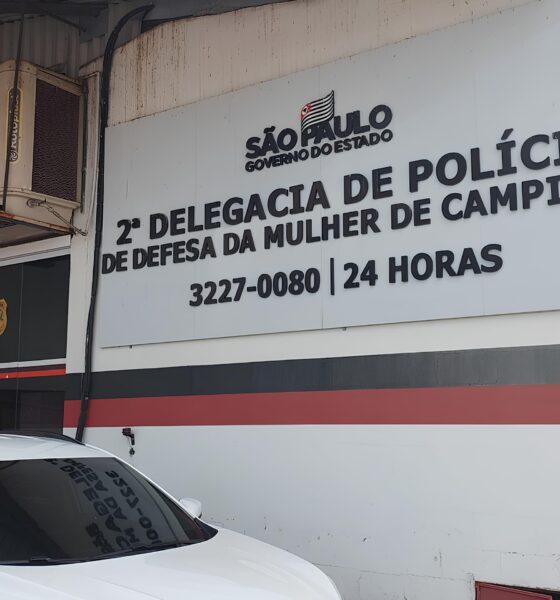 Quando o Silêncio Grita Mais Alto: A Luta Contra o Feminicídio em Campinas e o Legado de Thaís Fernanda 14 Quando o Sil ncio Grita Mais Alto A Luta Contra o Feminic dio em Campinas e o Legado de Tha s Fernanda