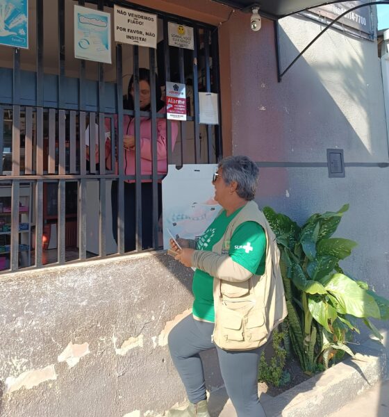 Quando os Morcegos Saem da Sombra: Como a Ciência e a Comunidade Estão Unidas Contra um Perigo Silencioso 13 Quando os Morcegos Saem da Sombra Como a Ci ncia e a Comunidade Est o Unidas Contra um Perigo Silencioso