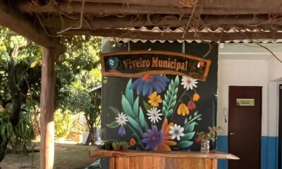 REENCONTRO COM A NATUREZA Viveiro Municipal de Hortol ndia Renasce para a Comunidade em Maio de 2025