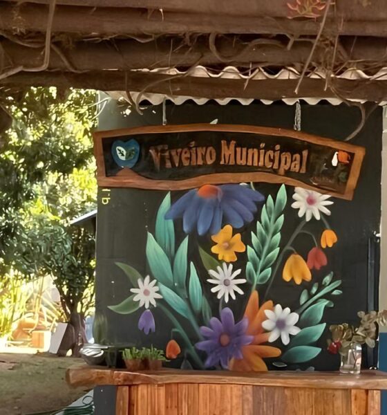 REENCONTRO COM A NATUREZA: Viveiro Municipal de Hortolândia Renasce para a Comunidade em Maio de 2025 13 REENCONTRO COM A NATUREZA Viveiro Municipal de Hortol ndia Renasce para a Comunidade em Maio de 2025