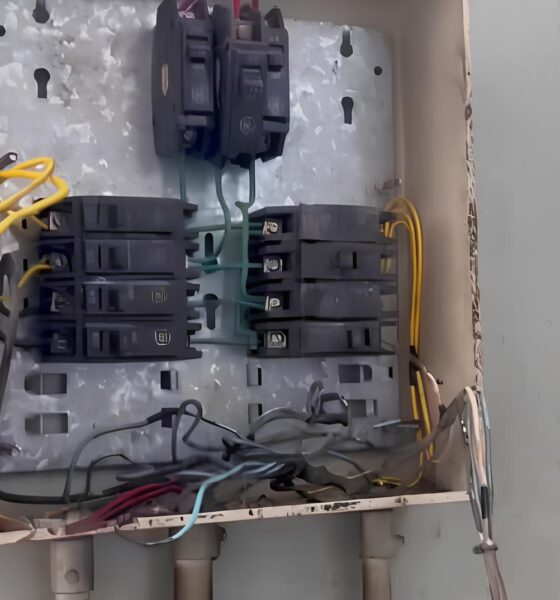 Sob o Silêncio dos Latidos: O Grito por Justiça no Departamento de Proteção Animal de Campinas 13 Sob o Sil ncio dos Latidos O Grito por Justi a no Departamento de Prote o Animal de Campinas