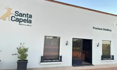 Transformando Futuros Por Dentro da Vaga de Assistente Pedag gico na Cogna Educa o