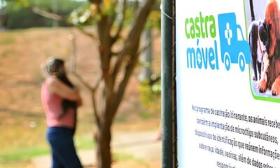 Um Presente para Quem Ama Castra o e Microchipagem Gratuita de Pets no Parque Valen a Transformar a Vida de Milhares