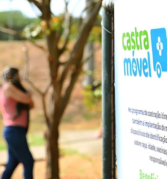 Um Presente para Quem Ama: Castração e Microchipagem Gratuita de Pets no Parque Valença Transformará a Vida de Milhares 13 Um Presente para Quem Ama Castra o e Microchipagem Gratuita de Pets no Parque Valen a Transformar a Vida de Milhares