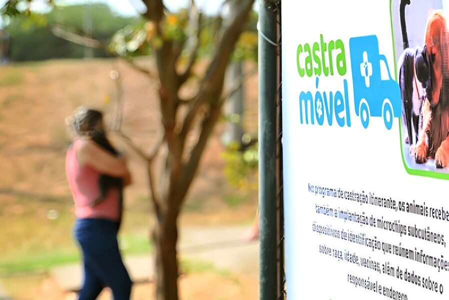 Um Presente para Quem Ama Castra o e Microchipagem Gratuita de Pets no Parque Valen a Transformar a Vida de Milhares