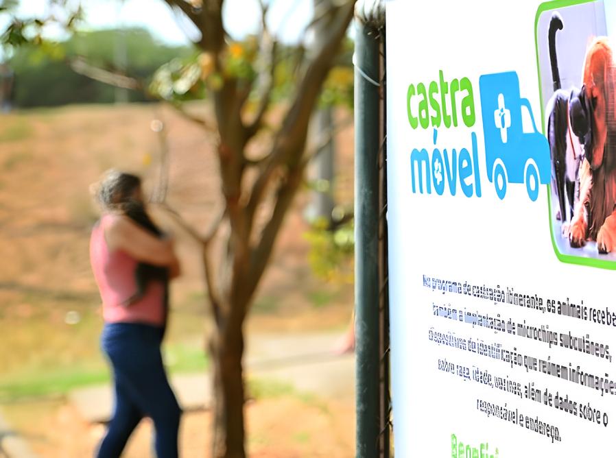 Um Presente para Quem Ama: Castração e Microchipagem Gratuita de Pets no Parque Valença Transformará a Vida de Milhares 12 Um Presente para Quem Ama Castra o e Microchipagem Gratuita de Pets no Parque Valen a Transformar a Vida de Milhares